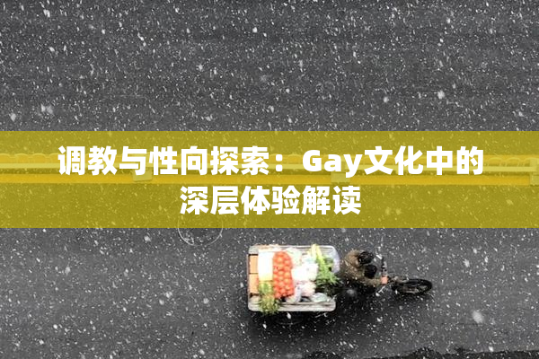 调教与性向探索：Gay文化中的深层体验解读