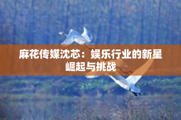 麻花传媒沈芯：娱乐行业的新星崛起与挑战