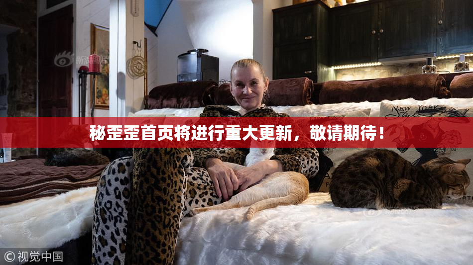 秘歪歪首页将进行重大更新，敬请期待！