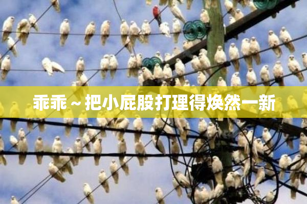 乖乖～把小屁股打理得焕然一新