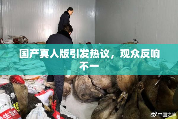 国产真人版引发热议，观众反响不一