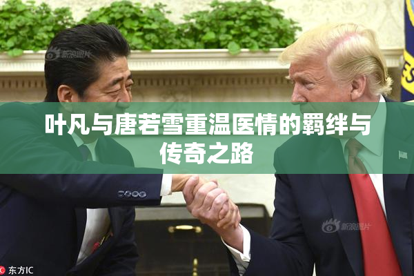 叶凡与唐若雪重温医情的羁绊与传奇之路