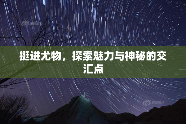 挺进尤物，探索魅力与神秘的交汇点