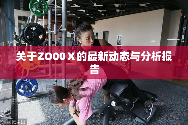 关于ZO00Ⅹ的最新动态与分析报告