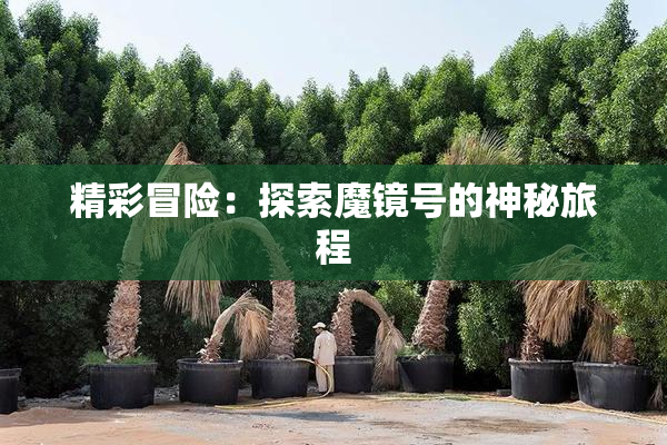 精彩冒险：探索魔镜号的神秘旅程