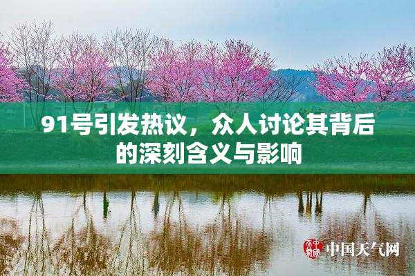 91号引发热议，众人讨论其背后的深刻含义与影响