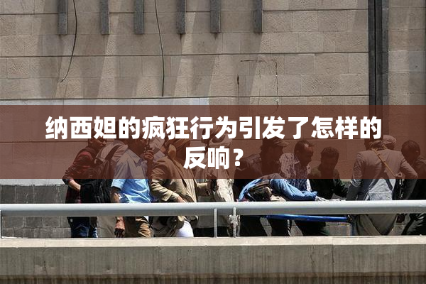 纳西妲的疯狂行为引发了怎样的反响？