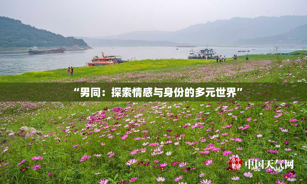 “男同：探索情感与身份的多元世界”