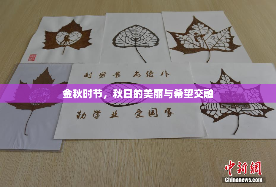 金秋时节，秋日的美丽与希望交融