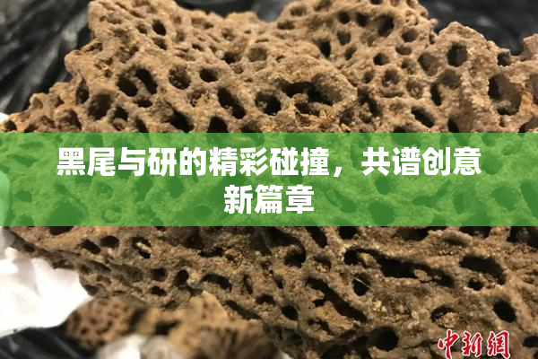 黑尾与研的精彩碰撞，共谱创意新篇章