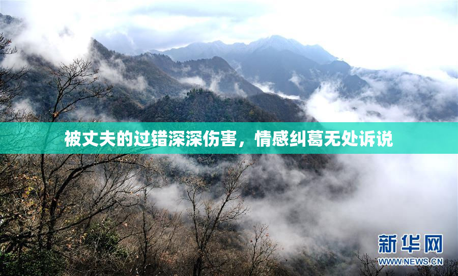 被丈夫的过错深深伤害，情感纠葛无处诉说