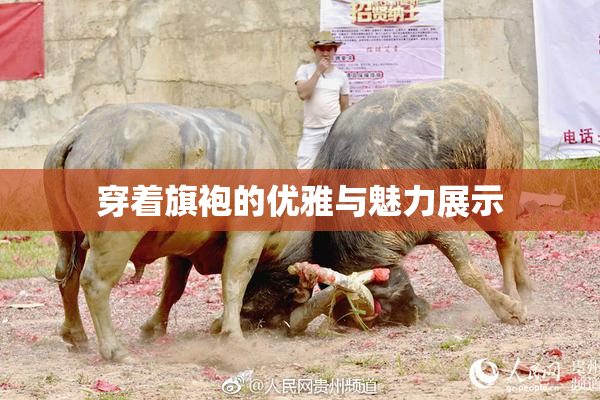 穿着旗袍的优雅与魅力展示