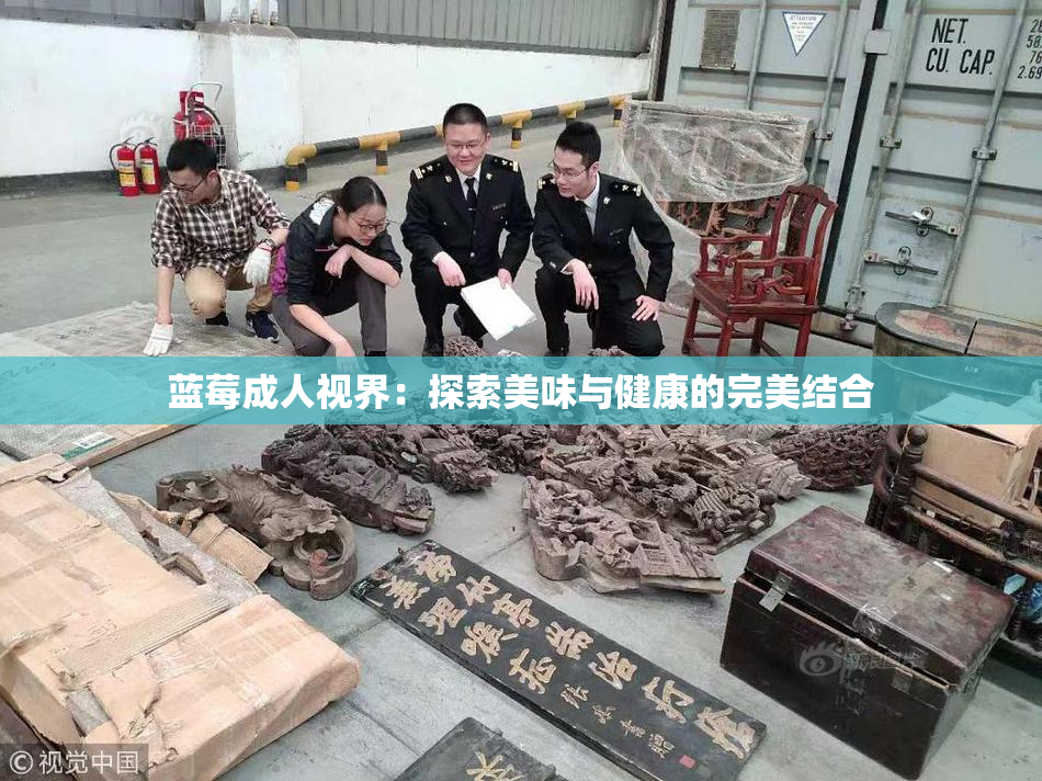 蓝莓成人视界：探索美味与健康的完美结合
