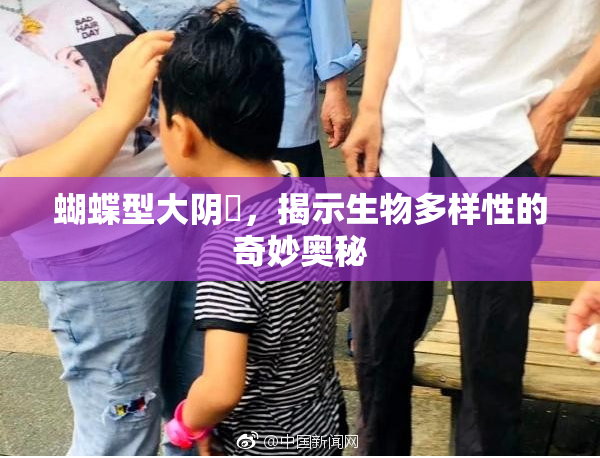 蝴蝶型大阴脣，揭示生物多样性的奇妙奥秘