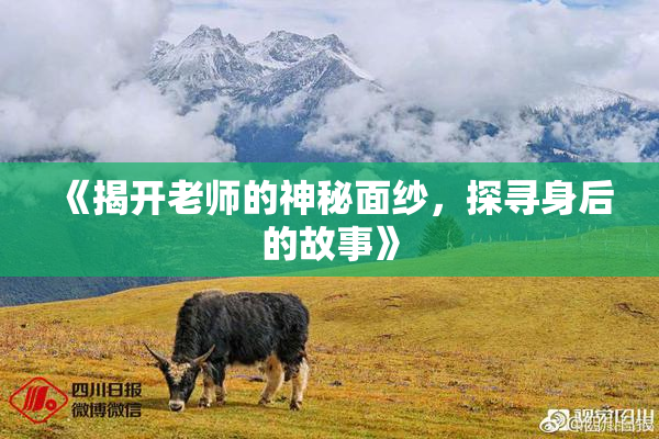 《揭开老师的神秘面纱，探寻身后的故事》