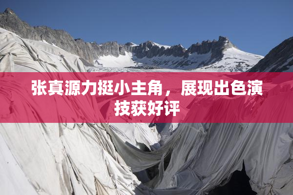 张真源力挺小主角，展现出色演技获好评