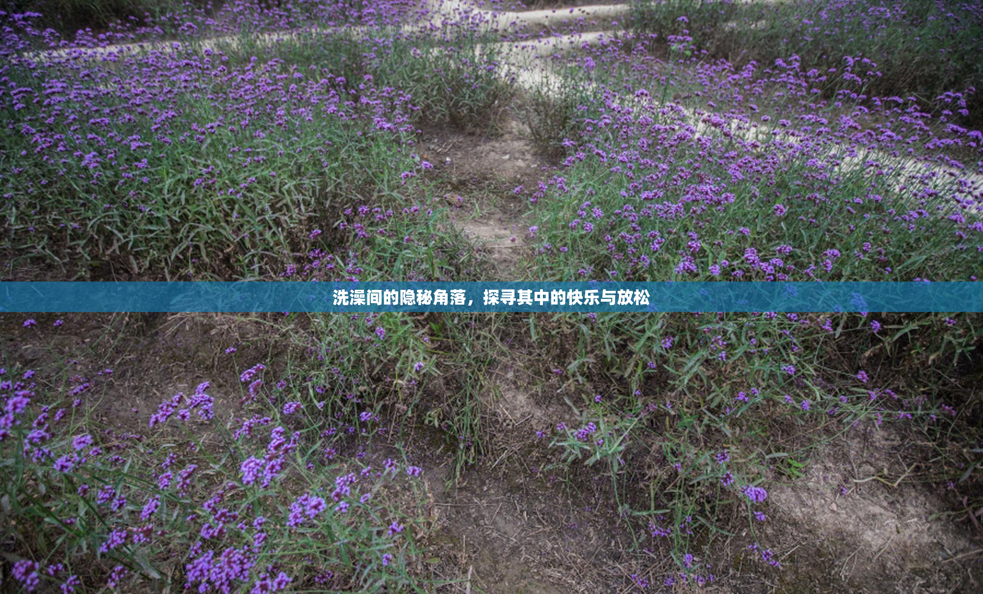 洗澡间的隐秘角落，探寻其中的快乐与放松