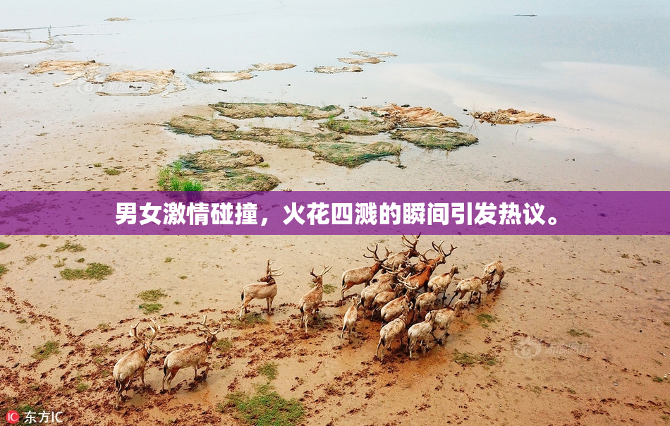 男女激情碰撞，火花四溅的瞬间引发热议。