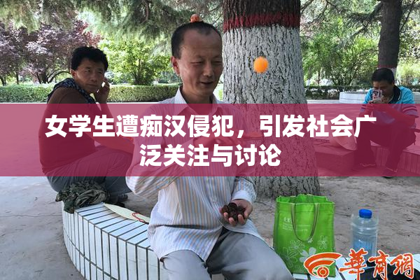 女学生遭痴汉侵犯，引发社会广泛关注与讨论