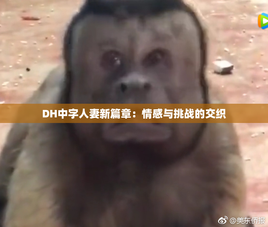 DH中字人妻新篇章：情感与挑战的交织