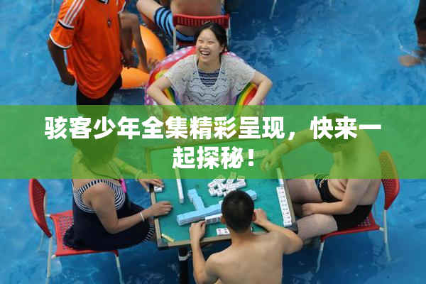 骇客少年全集精彩呈现，快来一起探秘！