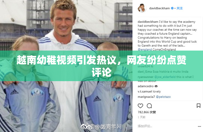 越南幼稚视频引发热议，网友纷纷点赞评论