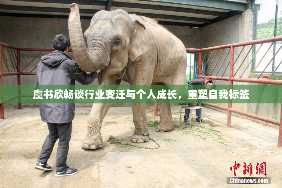 虞书欣畅谈行业变迁与个人成长，重塑自我标签