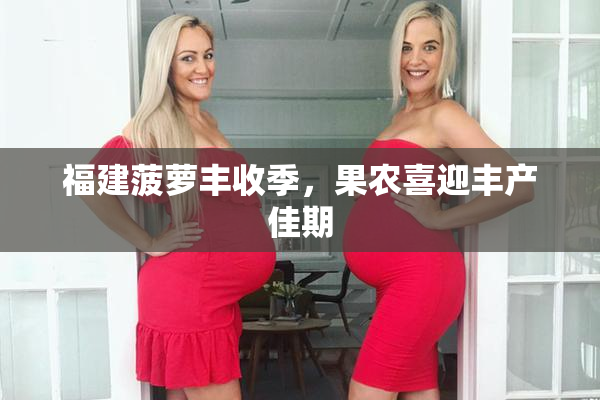福建菠萝丰收季，果农喜迎丰产佳期