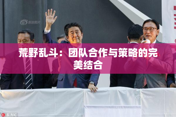 荒野乱斗：团队合作与策略的完美结合