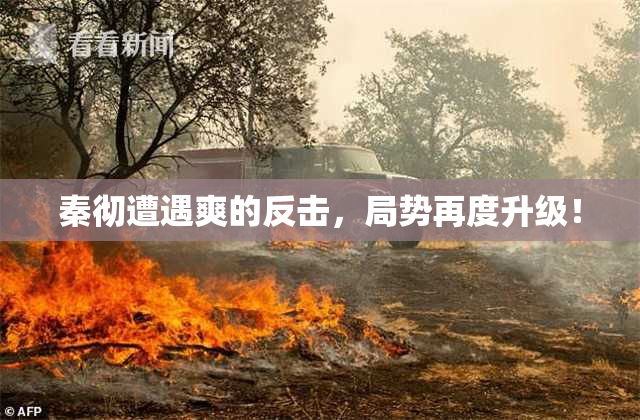 秦彻遭遇爽的反击，局势再度升级！