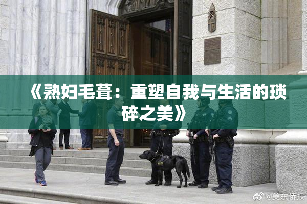 《熟妇毛葺：重塑自我与生活的琐碎之美》