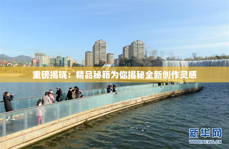 重磅揭晓：精品秘籍为你揭秘全新创作灵感