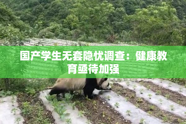 国产学生无套隐忧调查：健康教育亟待加强
