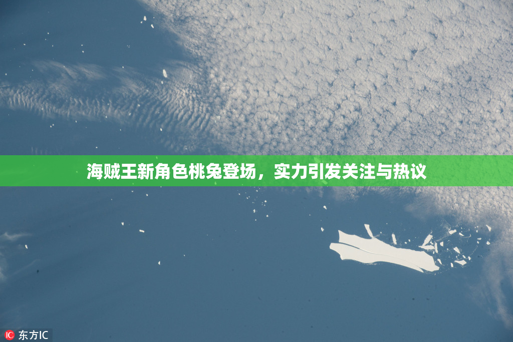 海贼王新角色桃兔登场，实力引发关注与热议