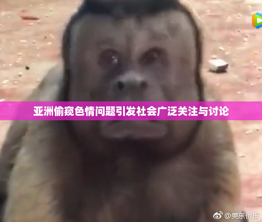 亚洲偷窥色情问题引发社会广泛关注与讨论