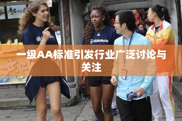 一级AA标准引发行业广泛讨论与关注