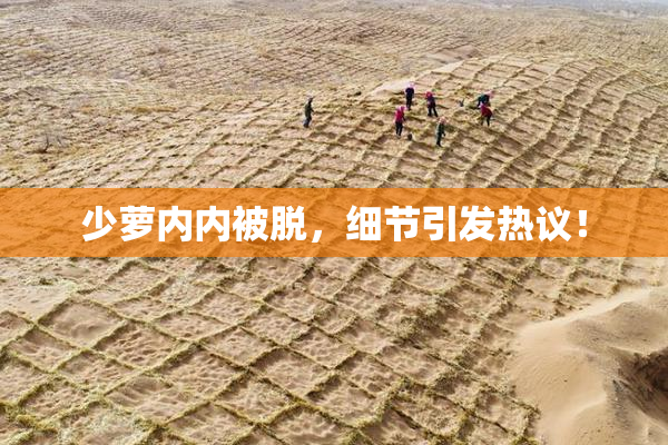 少萝内内被脱，细节引发热议！