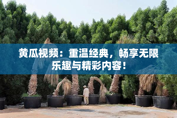 黄瓜视频：重温经典，畅享无限乐趣与精彩内容！