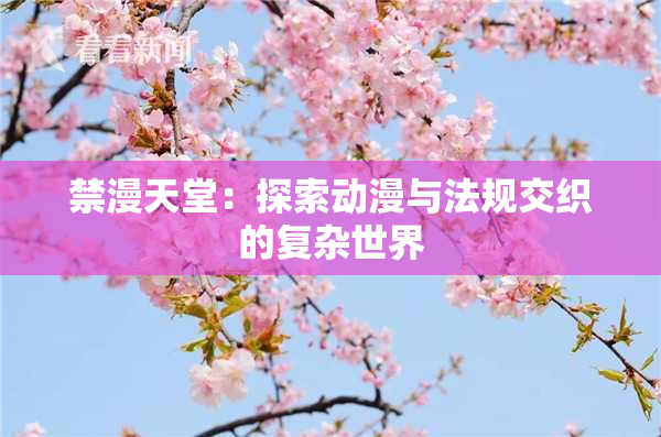 禁漫天堂：探索动漫与法规交织的复杂世界