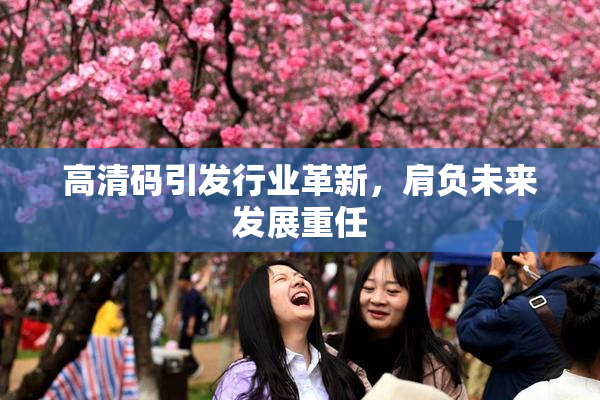 高清码引发行业革新，肩负未来发展重任