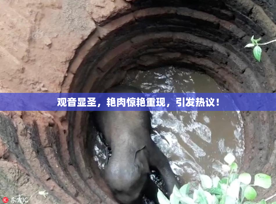 观音显圣，艳肉惊艳重现，引发热议！