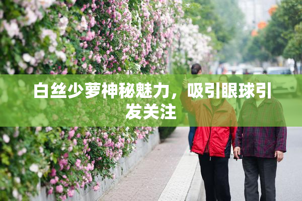 白丝少萝神秘魅力，吸引眼球引发关注