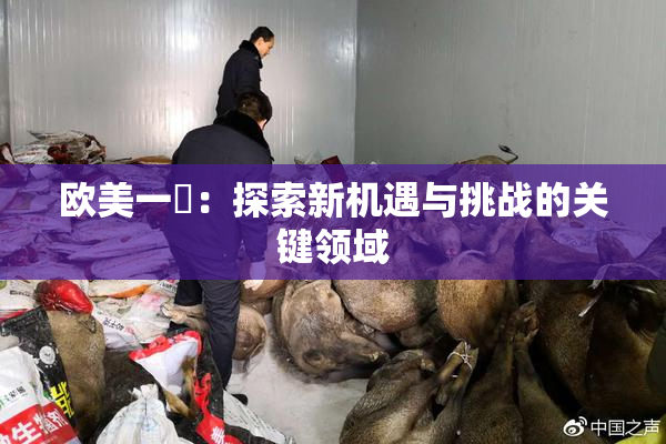 欧美一級：探索新机遇与挑战的关键领域