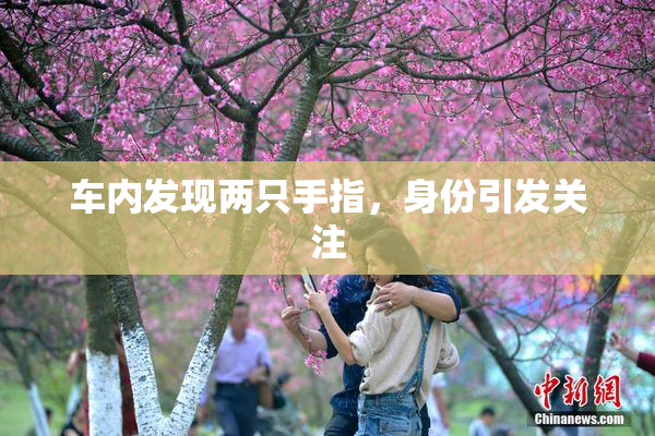 车内发现两只手指，身份引发关注