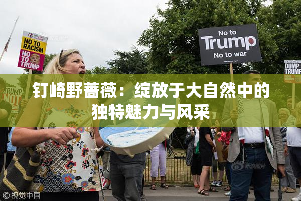 钉崎野蔷薇：绽放于大自然中的独特魅力与风采