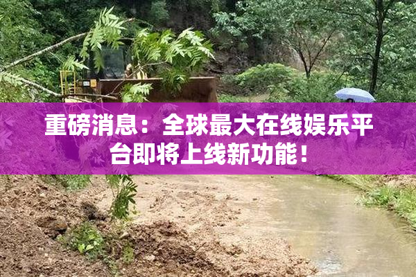 重磅消息：全球最大在线娱乐平台即将上线新功能！