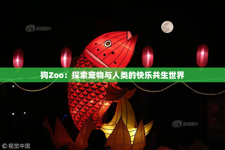 狗Zoo：探索宠物与人类的快乐共生世界