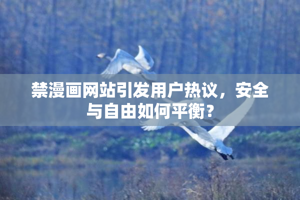 禁漫画网站引发用户热议，安全与自由如何平衡？