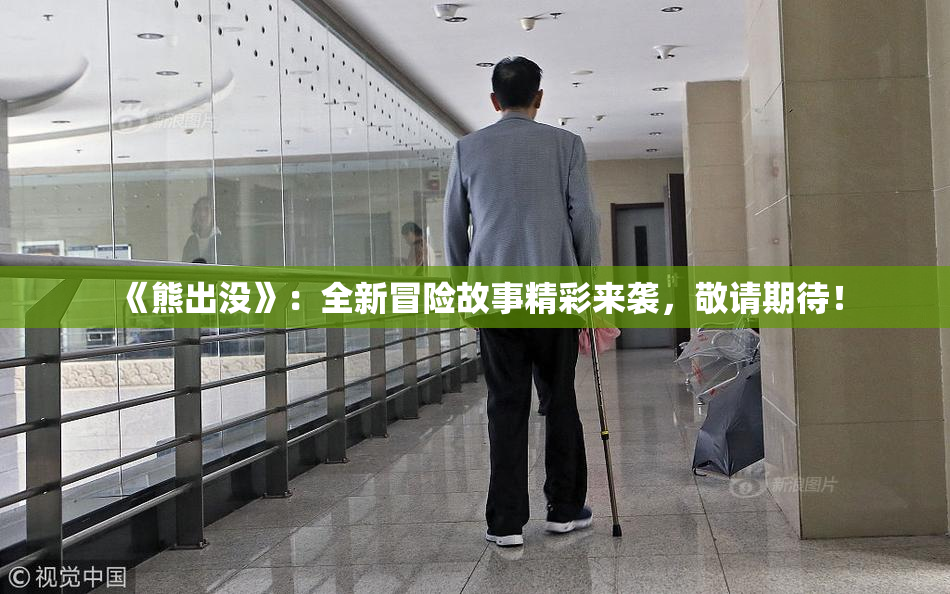 《熊出没》：全新冒险故事精彩来袭，敬请期待！