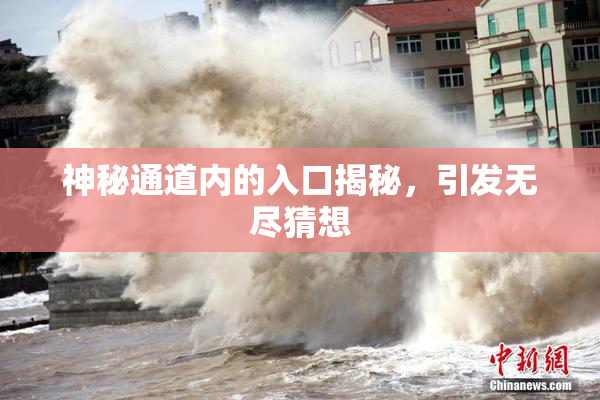 神秘通道内的入口揭秘，引发无尽猜想